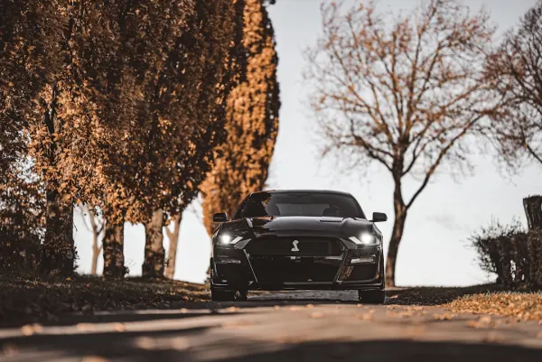 SuperNopea Kazino Android/iOS Lietotne